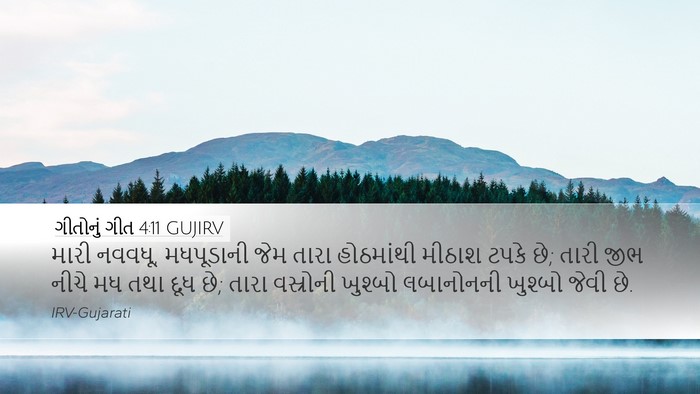 ગીતોનું ગીત 4:11 GUJIRV Bible Verse Image