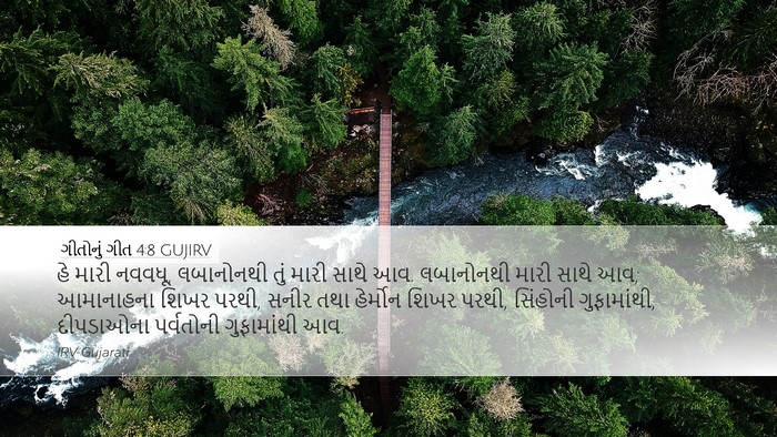 ગીતોનું ગીત 4:8 GUJIRV Bible Verse Image