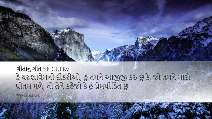 ગીતોનું ગીત 5:8 GUJIRV Bible Verse Image