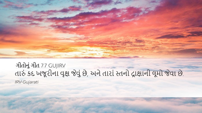 ગીતોનું ગીત 7:7 GUJIRV Bible Verse Image