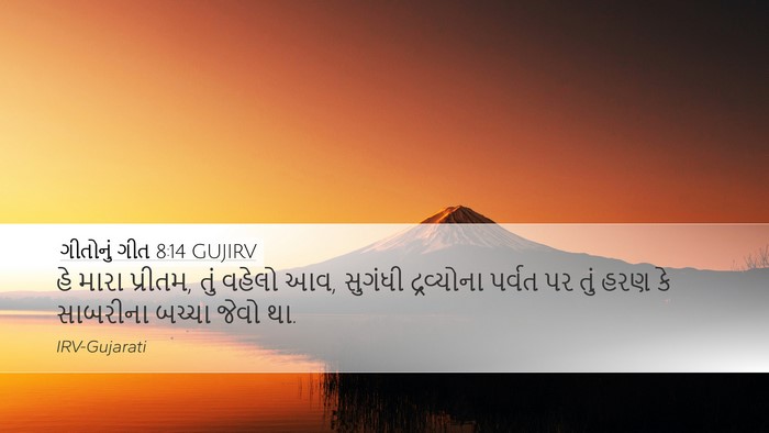 ગીતોનું ગીત 8:14 GUJIRV Bible Verse Image