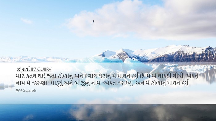 ઝખાર્યા 11:7 GUJIRV Bible Verse Image