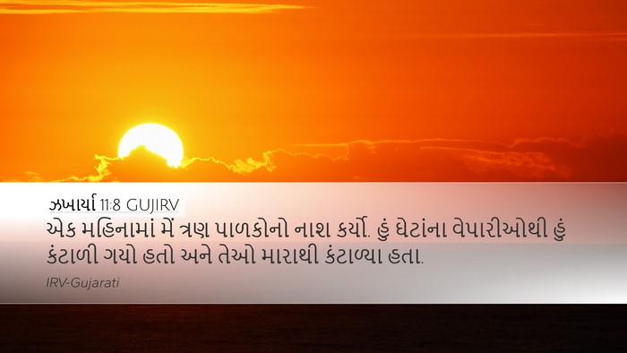 ઝખાર્યા 11:8 GUJIRV Bible Verse Image
