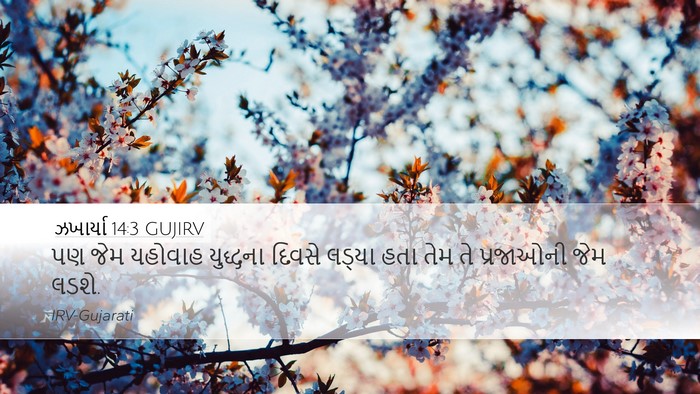 ઝખાર્યા 14:3 GUJIRV Bible Verse Image