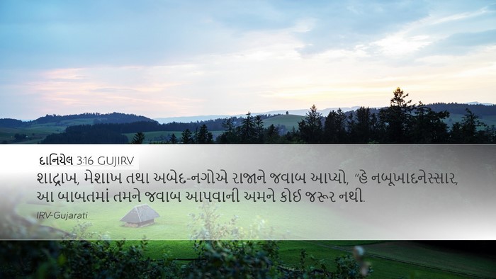 દાનિયેલ 3:16 GUJIRV Bible Verse Image