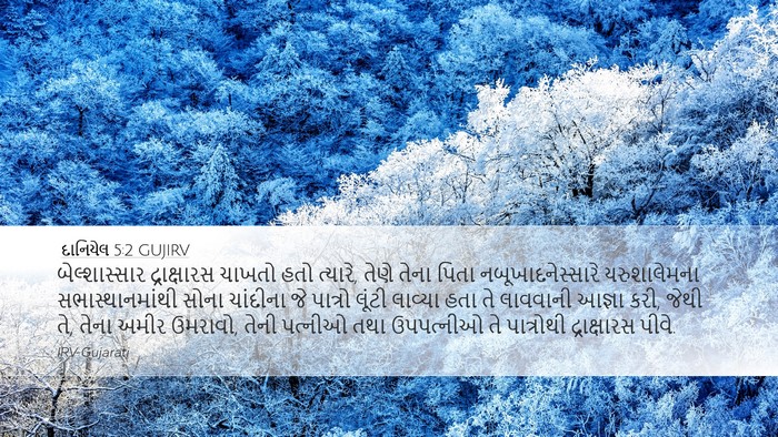 દાનિયેલ 5:2 GUJIRV Bible Verse Image