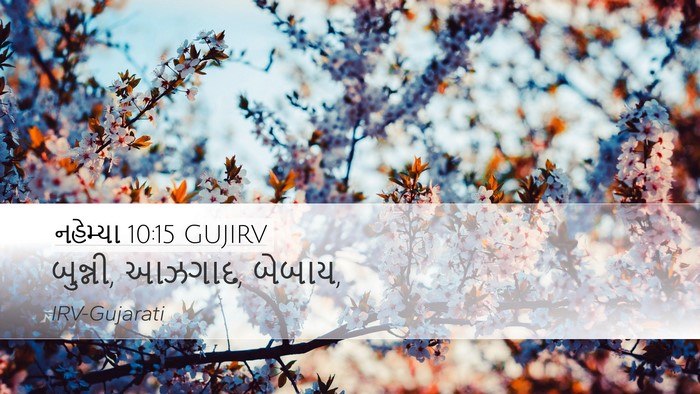 નહેમ્યા 10:15 GUJIRV Bible Verse Image