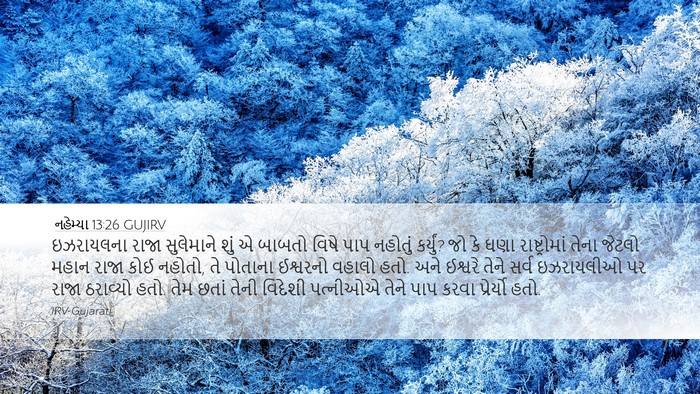 નહેમ્યા 13:26 GUJIRV Bible Verse Image