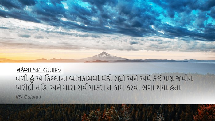 નહેમ્યા 5:16 GUJIRV Desktop Wallpaper - વળી હું એ કિલ્લાના - Desktop Bible Verse Wallpaper