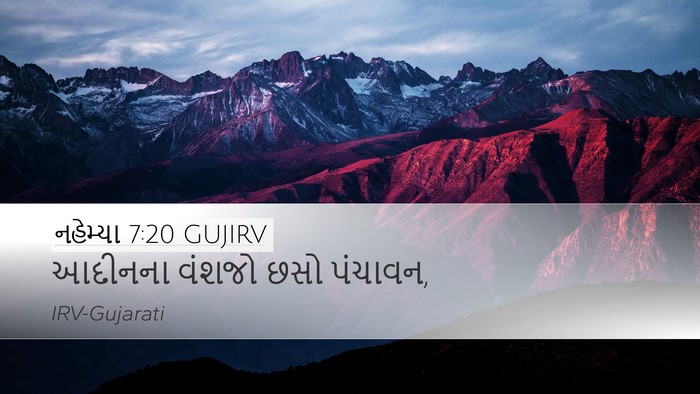 નહેમ્યા 7:20 GUJIRV Desktop Wallpaper - આદીનના વંશજો છસો - Desktop Bible Verse Wallpaper