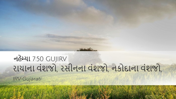 નહેમ્યા 7:50 GUJIRV Desktop Wallpaper - રાયાના વંશજો, - Desktop Bible Verse Wallpaper