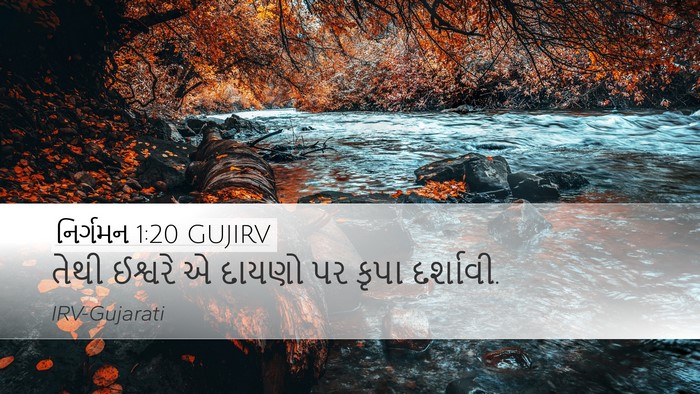 નિર્ગમન 1:20 GUJIRV Bible Verse Image