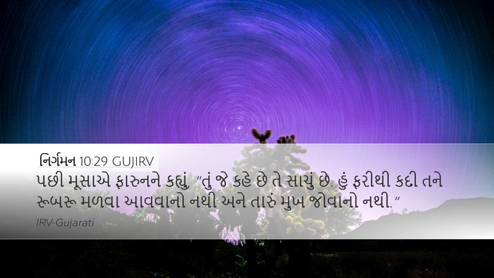 નિર્ગમન 10:29 GUJIRV Desktop Wallpaper - પછી મૂસાએ ફારુનને - Desktop Bible Verse Wallpaper