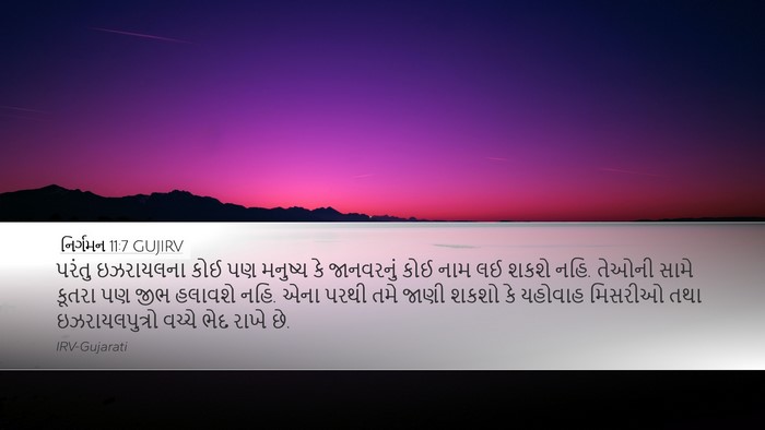 નિર્ગમન 11:7 GUJIRV Bible Verse Image