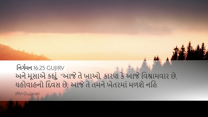 નિર્ગમન 16:25 GUJIRV Bible Verse Image