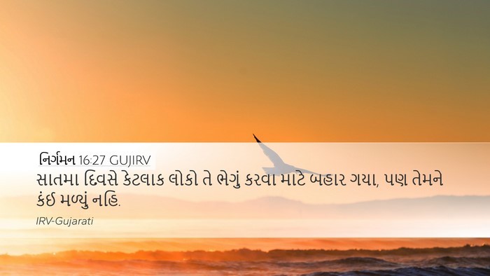 નિર્ગમન 16:27 GUJIRV Bible Verse Image
