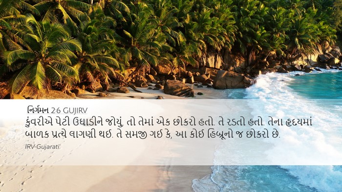 નિર્ગમન 2:6 GUJIRV Bible Verse Image