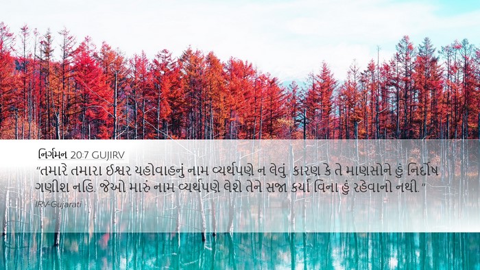 નિર્ગમન 20:7 GUJIRV Bible Verse Image
