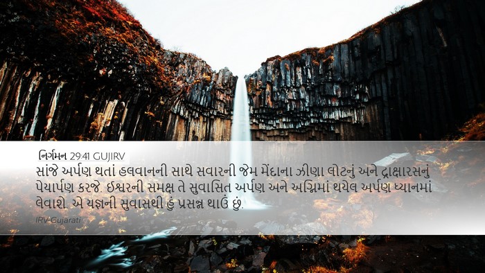 નિર્ગમન 29:41 GUJIRV Bible Verse Image