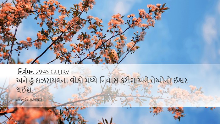 નિર્ગમન 29:45 GUJIRV Bible Verse Image