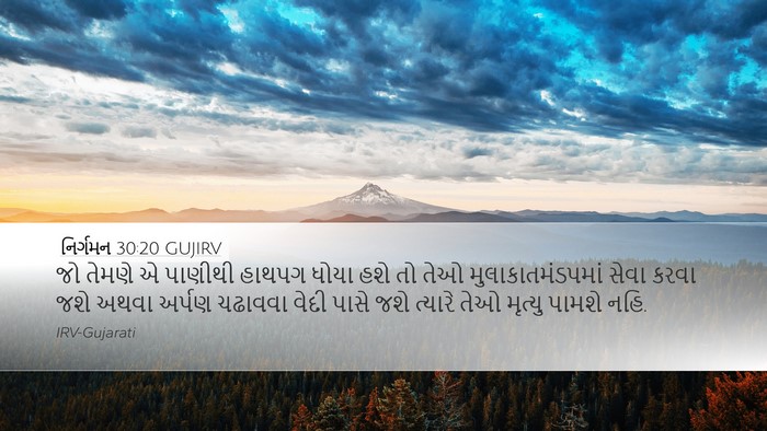 નિર્ગમન 30:20 GUJIRV Desktop Wallpaper - જો તેમણે એ પાણીથી - Desktop Bible Verse Wallpaper