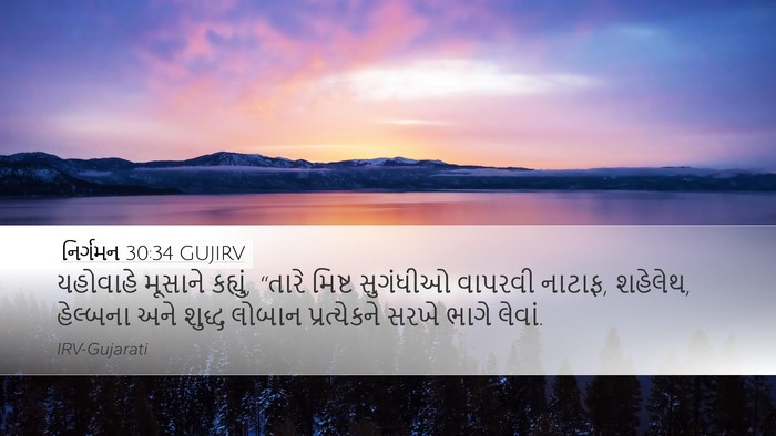 નિર્ગમન 30:34 GUJIRV Bible Verse Image