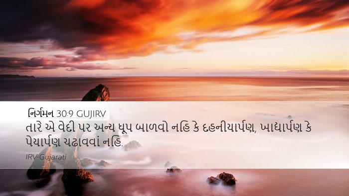 નિર્ગમન 30:9 GUJIRV Bible Verse Image