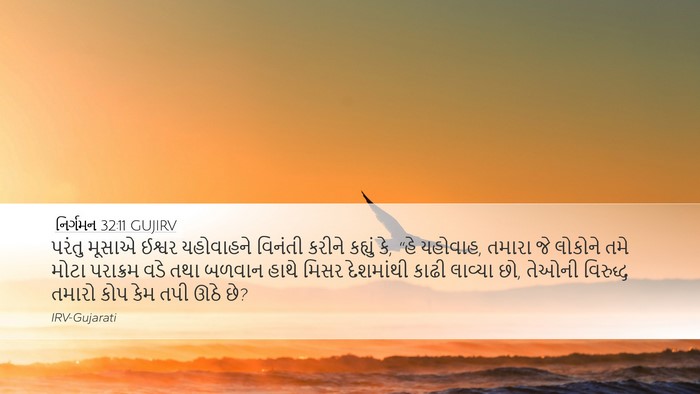 નિર્ગમન 32:11 GUJIRV Bible Verse Image