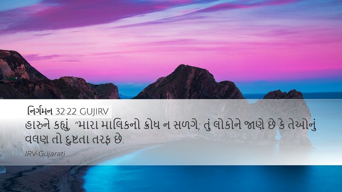 નિર્ગમન 32:22 GUJIRV Bible Verse Image