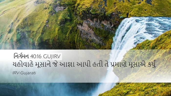 નિર્ગમન 40:16 GUJIRV Bible Verse Image