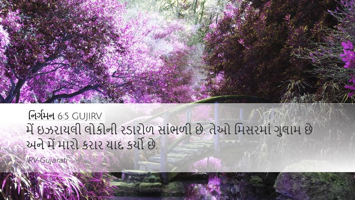 નિર્ગમન 6:5 GUJIRV Bible Verse Image
