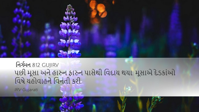 નિર્ગમન 8:12 GUJIRV Bible Verse Image