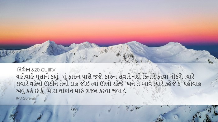 નિર્ગમન 8:20 GUJIRV Bible Verse Image