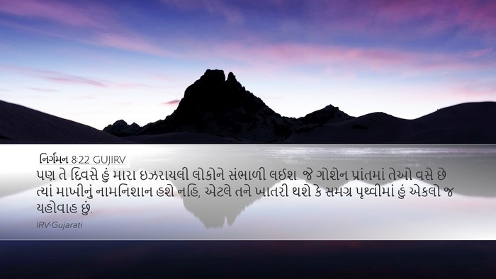 નિર્ગમન 8:22 GUJIRV Bible Verse Image