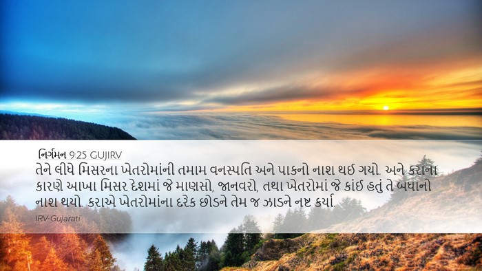 નિર્ગમન 9:25 GUJIRV Desktop Wallpaper - તેને લીધે મિસરના - Desktop Bible Verse Wallpaper