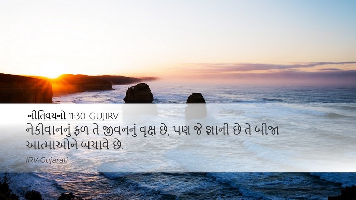 નીતિવચનો 11:30 GUJIRV Bible Verse Image