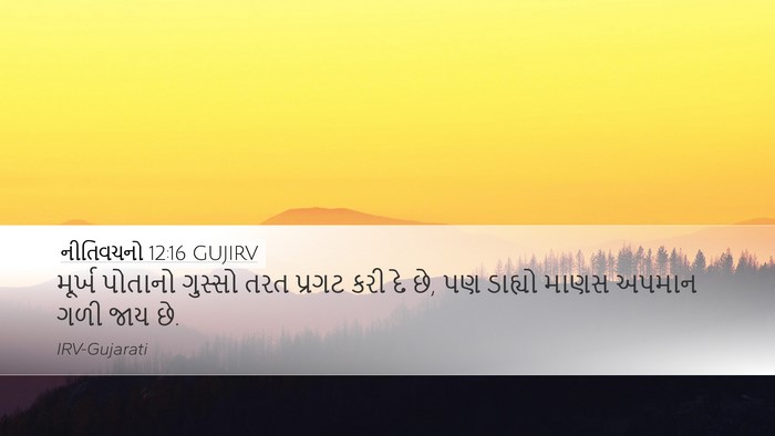 નીતિવચનો 12:16 GUJIRV Bible Verse Image