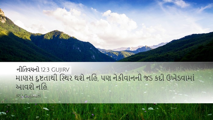 નીતિવચનો 12:3 GUJIRV Bible Verse Image