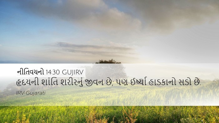 નીતિવચનો 14:30 GUJIRV Bible Verse Image