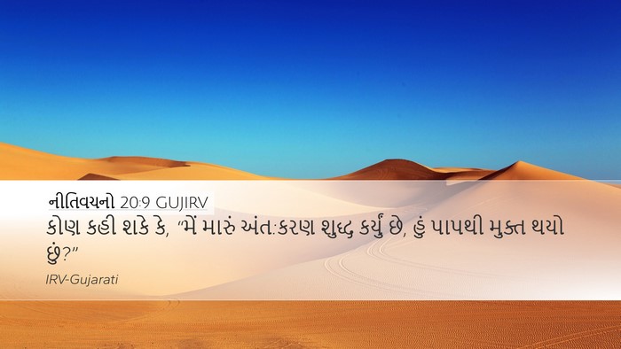 નીતિવચનો 20:9 GUJIRV Bible Verse Image
