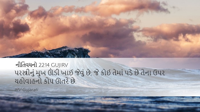 નીતિવચનો 22:14 GUJIRV Bible Verse Image