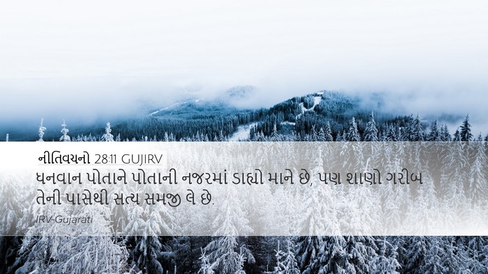 નીતિવચનો 28:11 GUJIRV Bible Verse Image