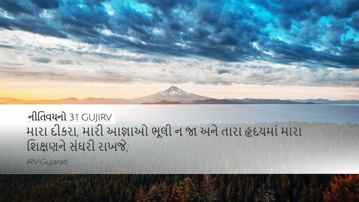 નીતિવચનો 3:1 GUJIRV Bible Verse Image