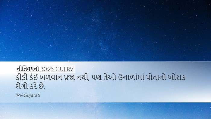 નીતિવચનો 30:25 GUJIRV Bible Verse Image