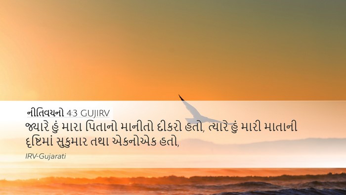 નીતિવચનો 4:3 GUJIRV Desktop Wallpaper - જ્યારે હું મારા - Desktop Bible Verse Wallpaper