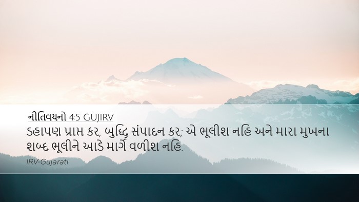 નીતિવચનો 4:5 GUJIRV Bible Verse Image