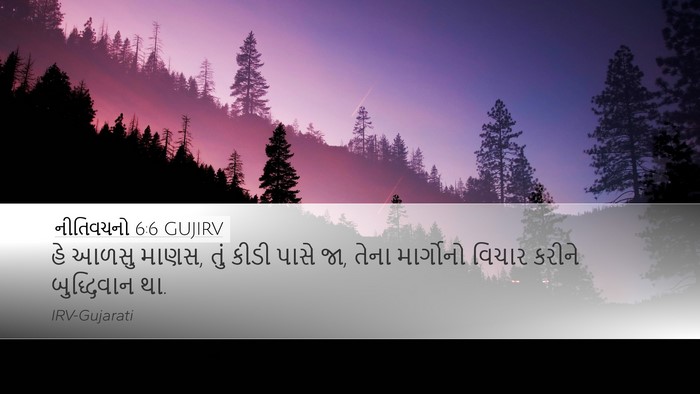 નીતિવચનો 6:6 GUJIRV Bible Verse Image