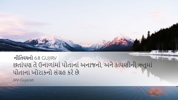 નીતિવચનો 6:8 GUJIRV Bible Verse Image