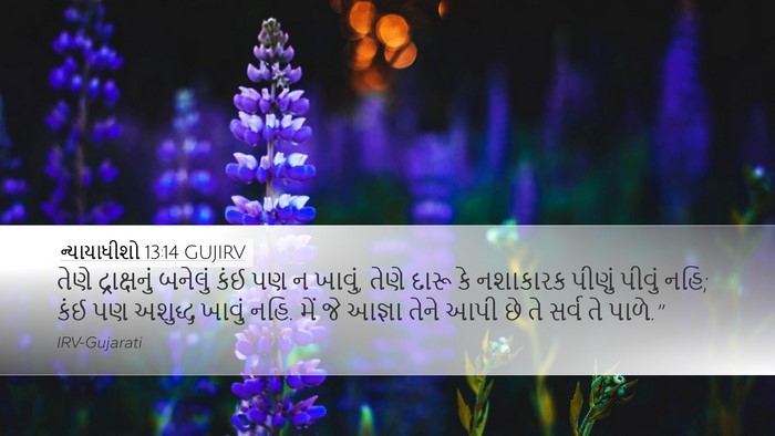 ન્યાયાધીશો 13:14 GUJIRV Bible Verse Image