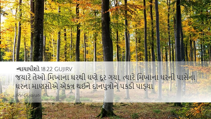 ન્યાયાધીશો 18:22 GUJIRV Bible Verse Image
